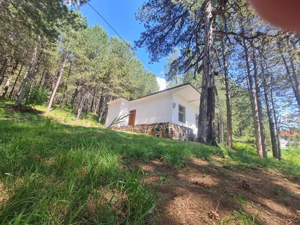 Bujtinat Skenderi Gjinar 2 Vila Exterior foto